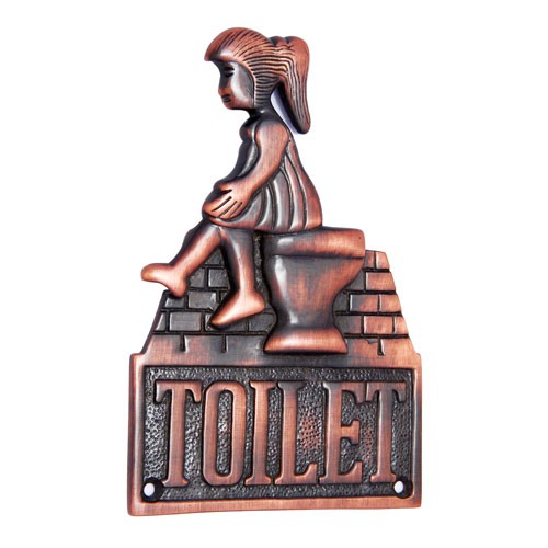 Large Ladies Toilet Brass Door Sign